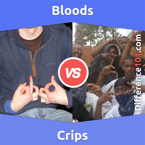 blood vs crip meaning|Crips History, Signs & Tattoos .